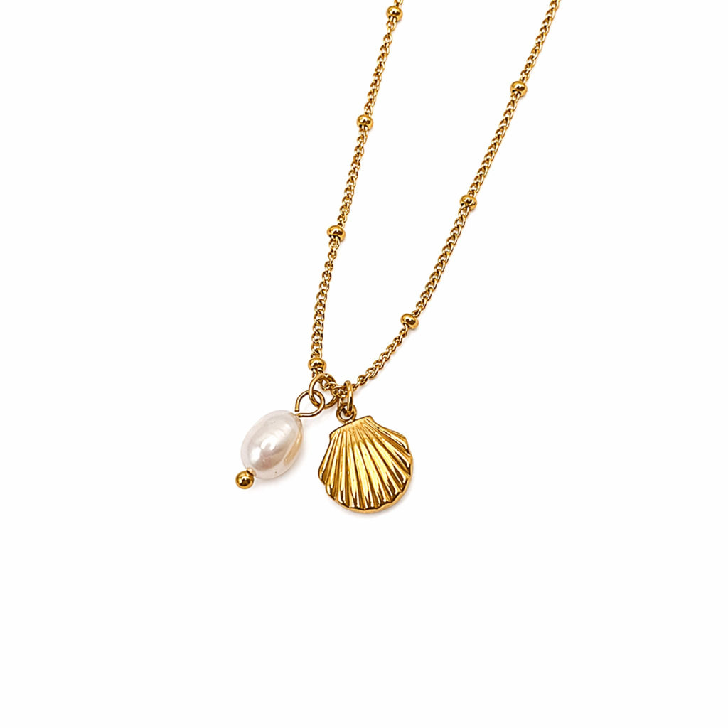 Collier Coquillage