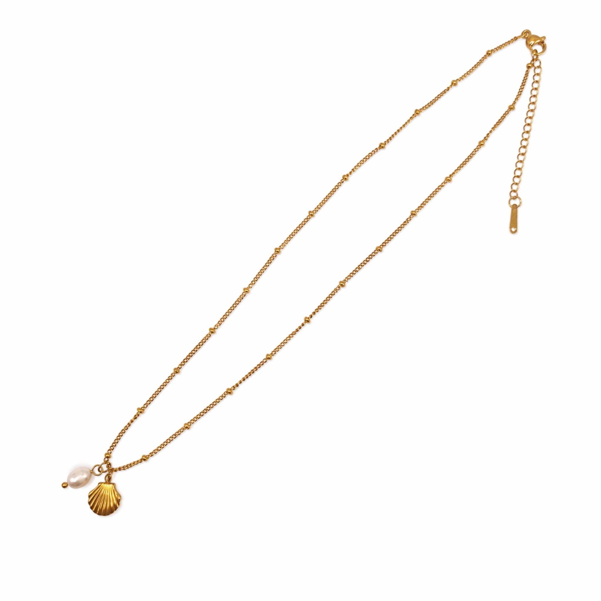 Collier Coquillage